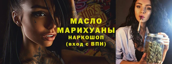 твердый Инта