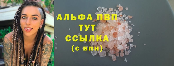 твердый Инта