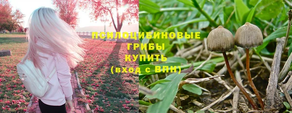 твердый Инта