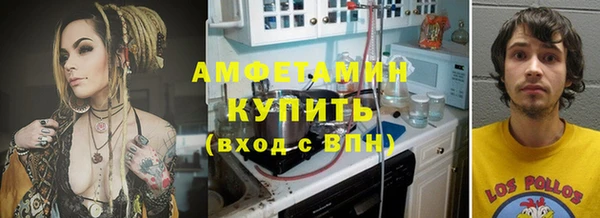 твердый Инта