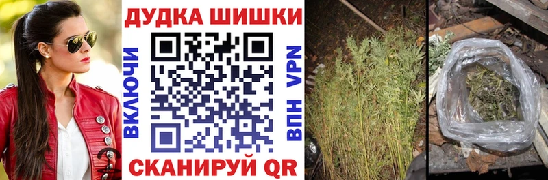 Купить закладки  Новотроицк  Шишки марихуана индика 